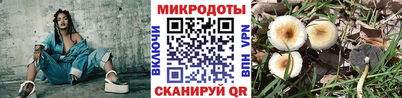 наркотики  Отрадное  Галлюциногенные грибы Magic Shrooms 